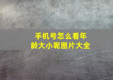 手机号怎么看年龄大小呢图片大全