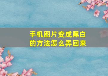 手机图片变成黑白的方法怎么弄回来