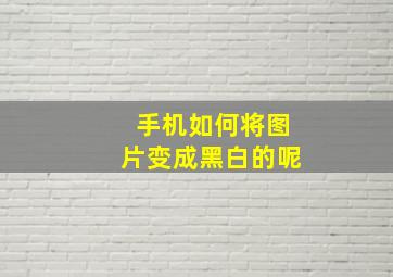 手机如何将图片变成黑白的呢