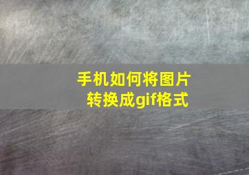 手机如何将图片转换成gif格式