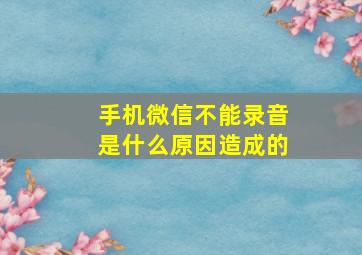 手机微信不能录音是什么原因造成的