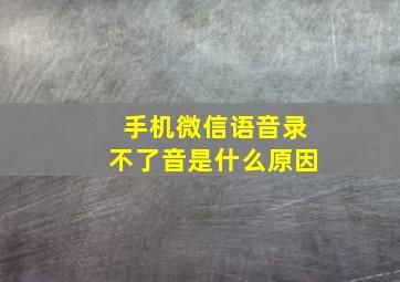 手机微信语音录不了音是什么原因