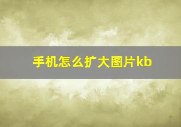 手机怎么扩大图片kb