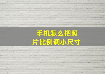 手机怎么把照片比例调小尺寸