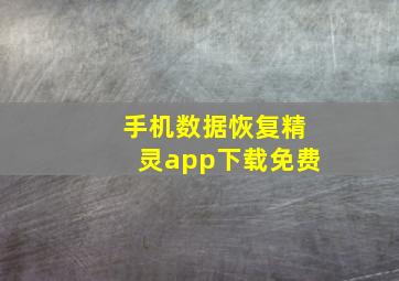 手机数据恢复精灵app下载免费