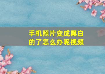 手机照片变成黑白的了怎么办呢视频