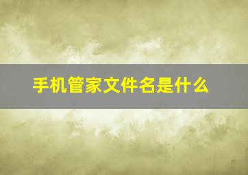 手机管家文件名是什么