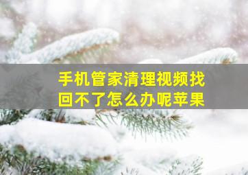 手机管家清理视频找回不了怎么办呢苹果