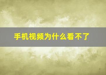 手机视频为什么看不了