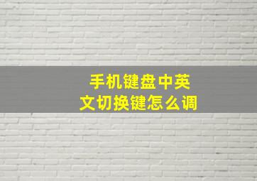 手机键盘中英文切换键怎么调