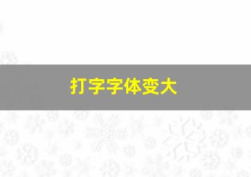 打字字体变大