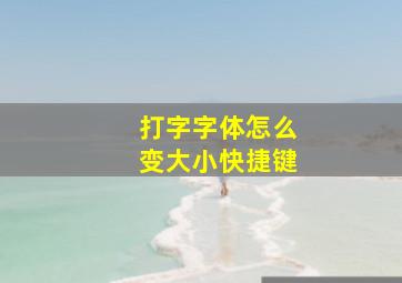 打字字体怎么变大小快捷键