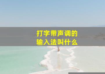 打字带声调的输入法叫什么