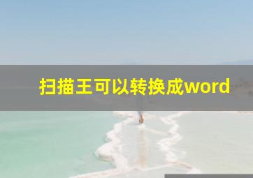 扫描王可以转换成word