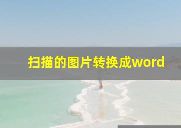 扫描的图片转换成word