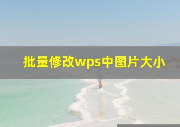 批量修改wps中图片大小