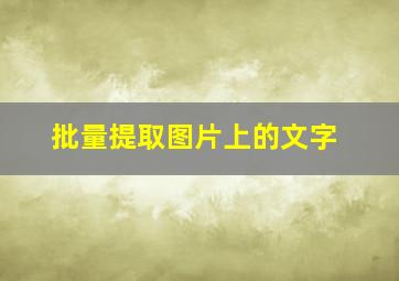 批量提取图片上的文字