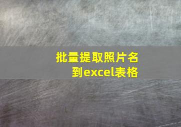 批量提取照片名到excel表格