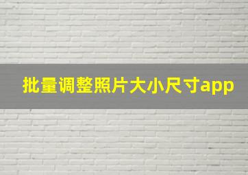 批量调整照片大小尺寸app