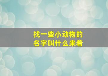 找一些小动物的名字叫什么来着