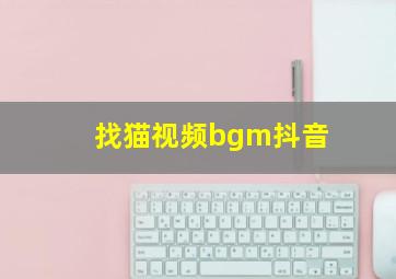 找猫视频bgm抖音