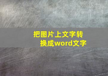 把图片上文字转换成word文字