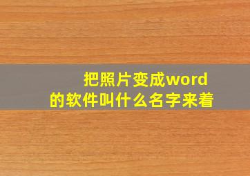 把照片变成word的软件叫什么名字来着