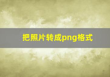 把照片转成png格式