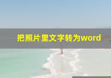 把照片里文字转为word