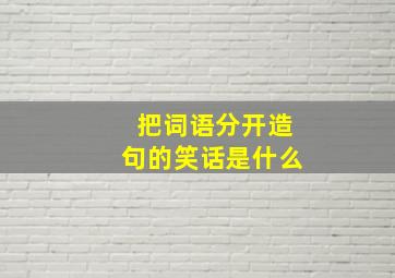 把词语分开造句的笑话是什么