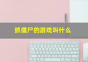 抓僵尸的游戏叫什么