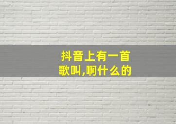 抖音上有一首歌叫,啊什么的