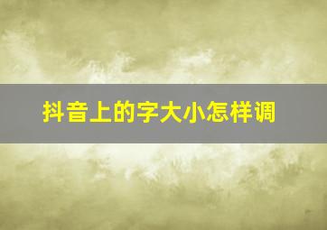 抖音上的字大小怎样调