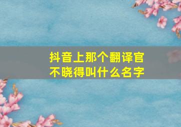 抖音上那个翻译官不晓得叫什么名字