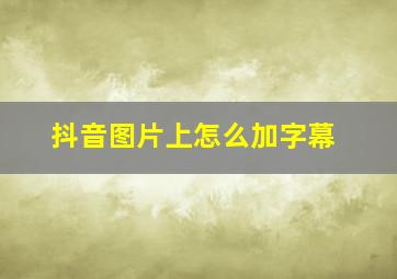 抖音图片上怎么加字幕