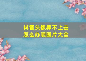 抖音头像弄不上去怎么办呢图片大全