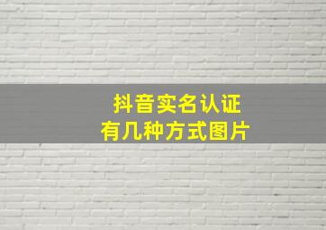 抖音实名认证有几种方式图片