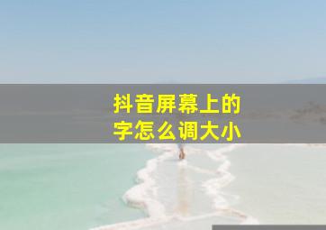 抖音屏幕上的字怎么调大小