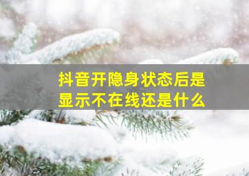 抖音开隐身状态后是显示不在线还是什么