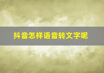 抖音怎样语音转文字呢