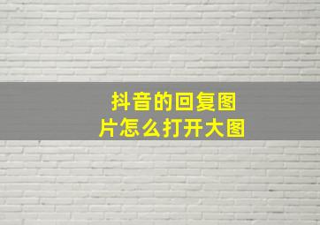 抖音的回复图片怎么打开大图