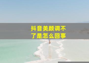 抖音美颜调不了是怎么回事