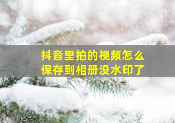 抖音里拍的视频怎么保存到相册没水印了