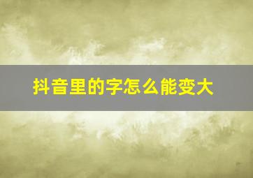 抖音里的字怎么能变大