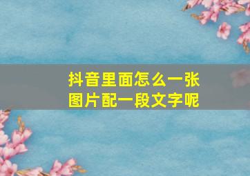 抖音里面怎么一张图片配一段文字呢