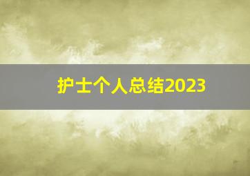 护士个人总结2023