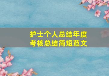 护士个人总结年度考核总结简短范文