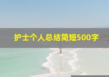 护士个人总结简短500字