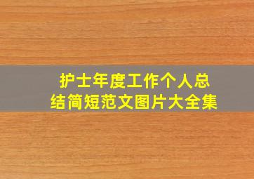 护士年度工作个人总结简短范文图片大全集