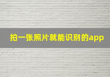 拍一张照片就能识别的app